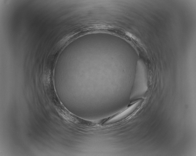 X0000082991161200702160016