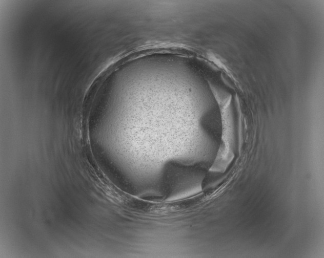 X0000082991165200702160016