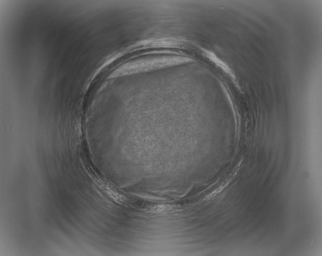 X0000082991166200702160016