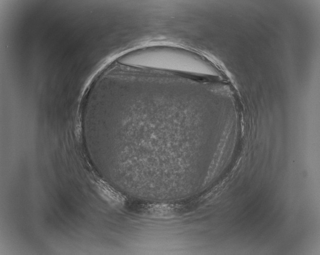 X0000082991167200702160016