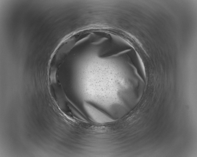 X0000082991168200702160016