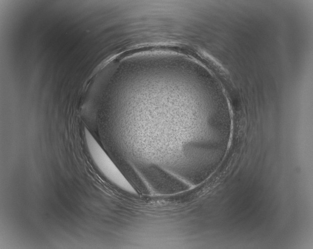 X0000082991169200702160016