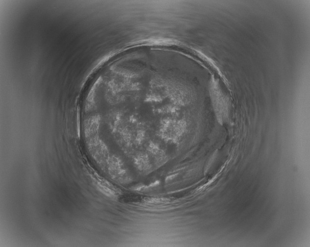 X0000082991171200702160016