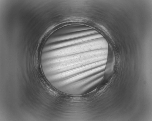 X0000082991172200702160016