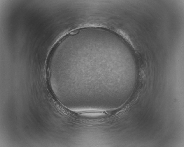 X0000082991173200702160016