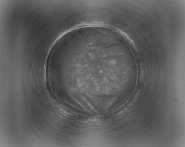 X0000082991174200702160016