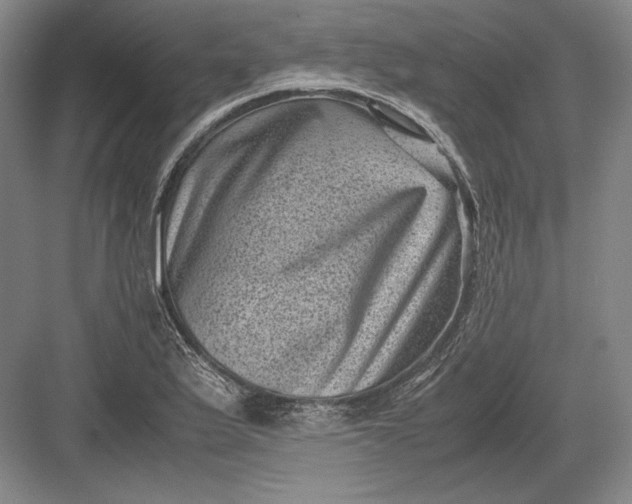 X0000082991175200702160016