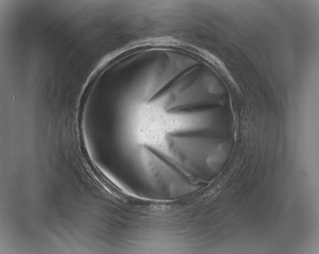 X0000082991176200702160016