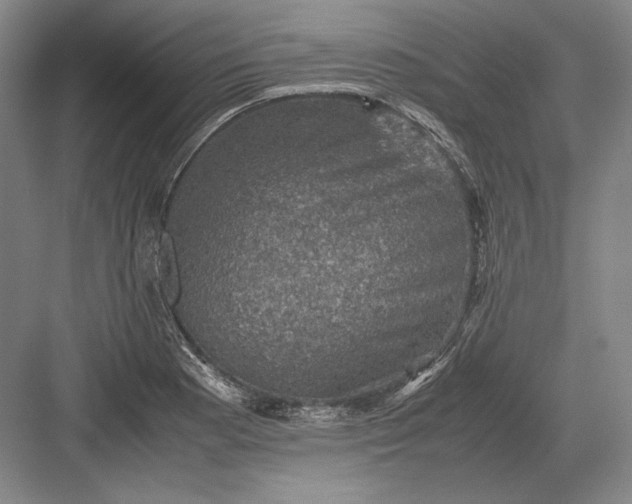 X0000082991177200702160016