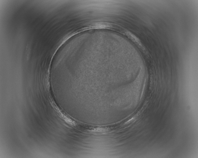 X0000082991178200702160016