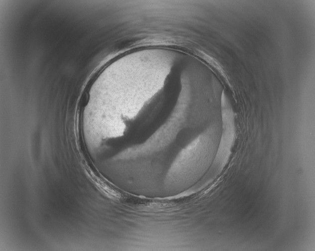 X0000082991179200702160016