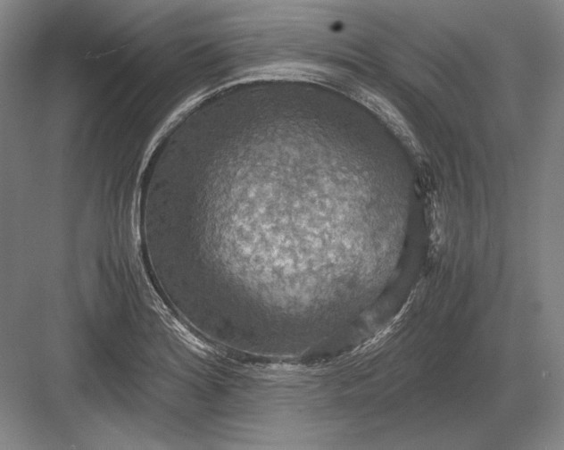 X0000082991180200702160016