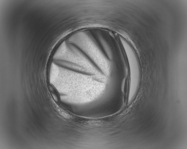 X0000082991181200702160016