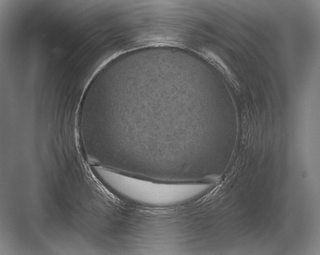 X0000082991182200702160016