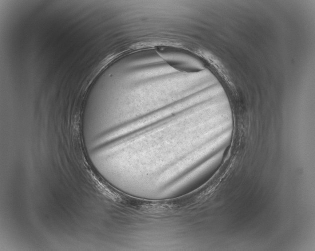 X0000082991185200702160016