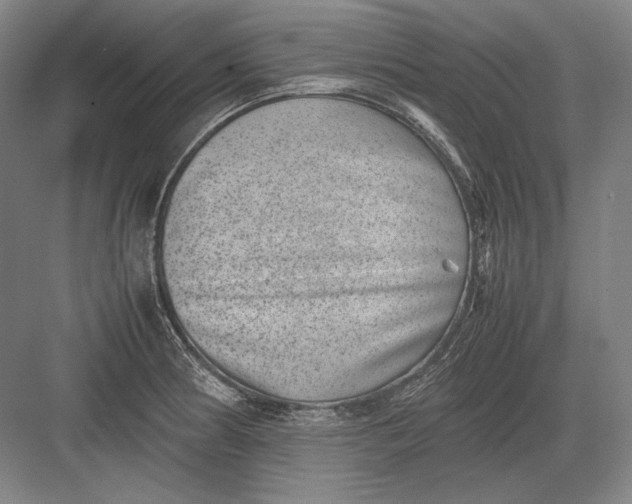 X0000082991186200702160016