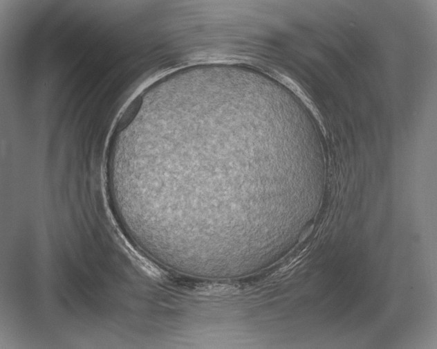 X0000082991187200702160016