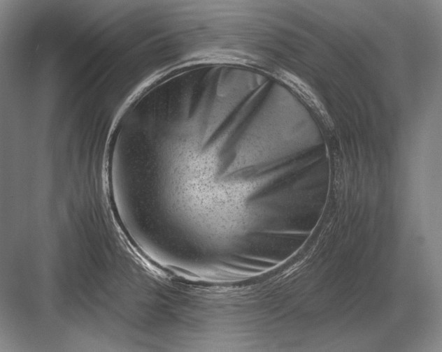 X0000082991188200702160016