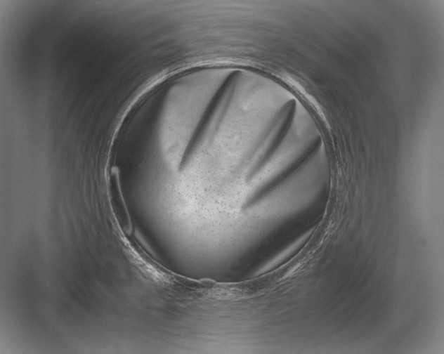 X0000082991189200702160015