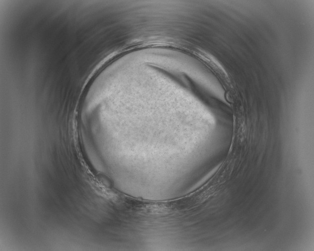 X0000082991190200702160015