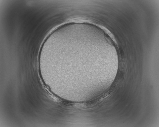 X0000082991191200702160015