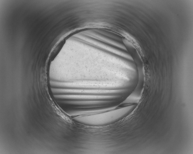 X0000082991192200702160015