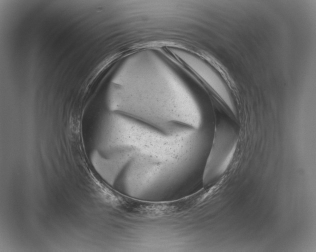 X0000082991193200702160015