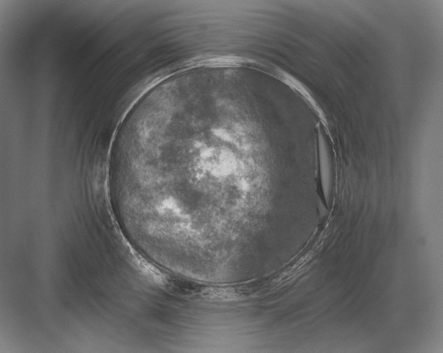 X0000082991194200702160015