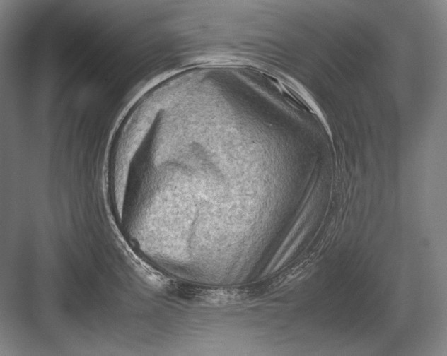 X0000082991195200702160015