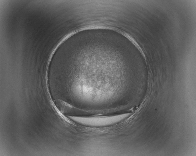 X0000082991197200702160015