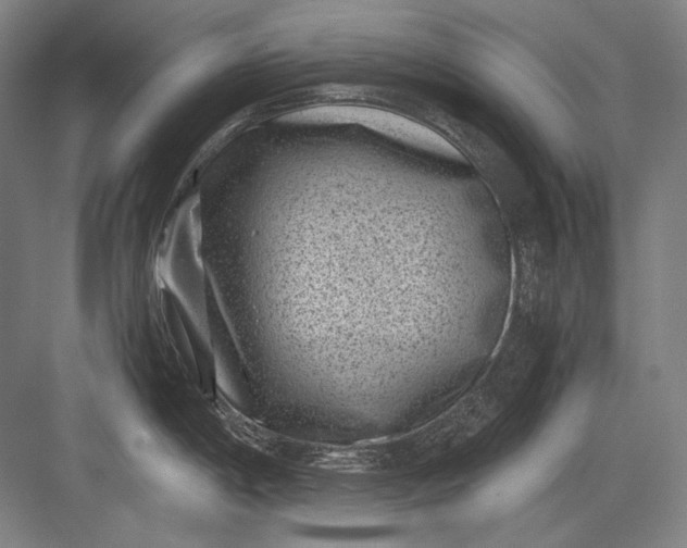 X0000082991198200702160015