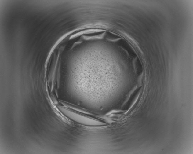 X0000082991200200702160015