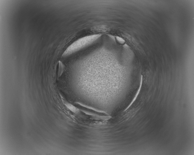 X0000082991201200702160014