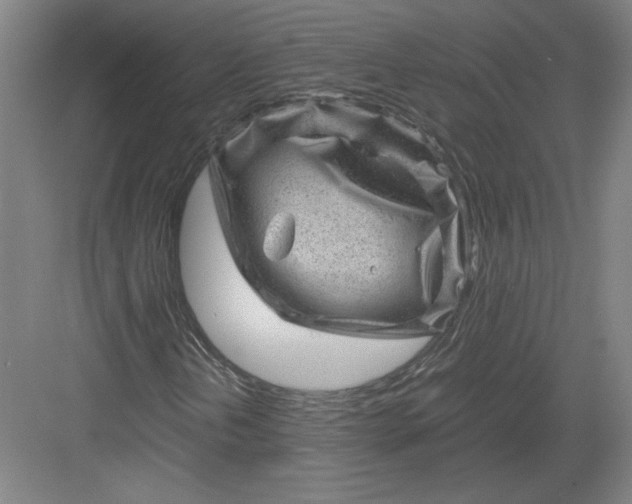 X0000082991202200702160015