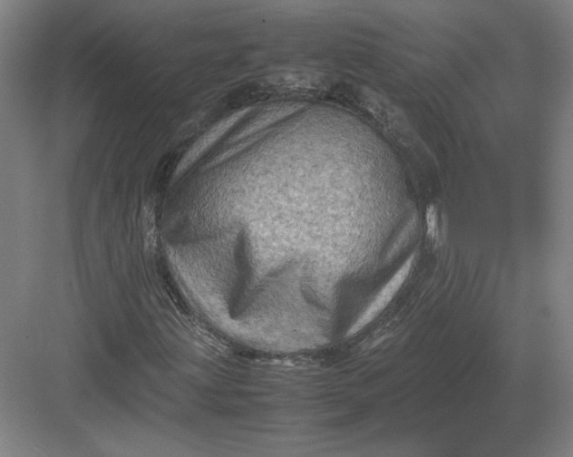 X0000082991203200702160015