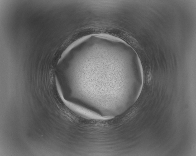 X0000082991204200702160015