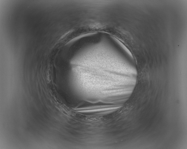 X0000082991205200702160015