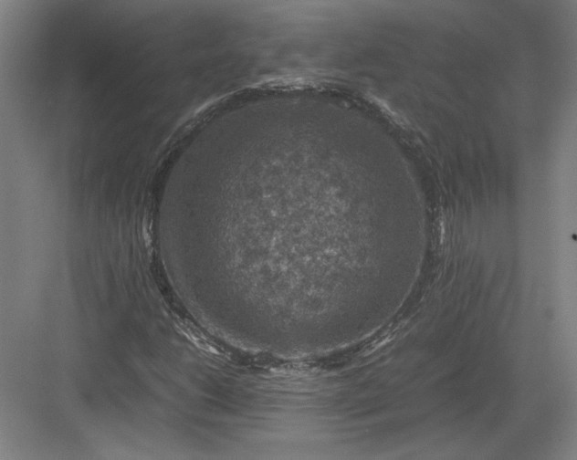 X0000082991206200702160015