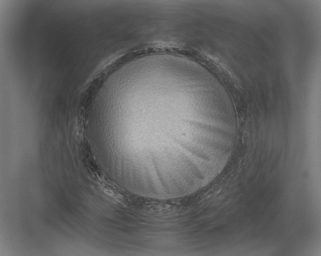 X0000082991207200702160015