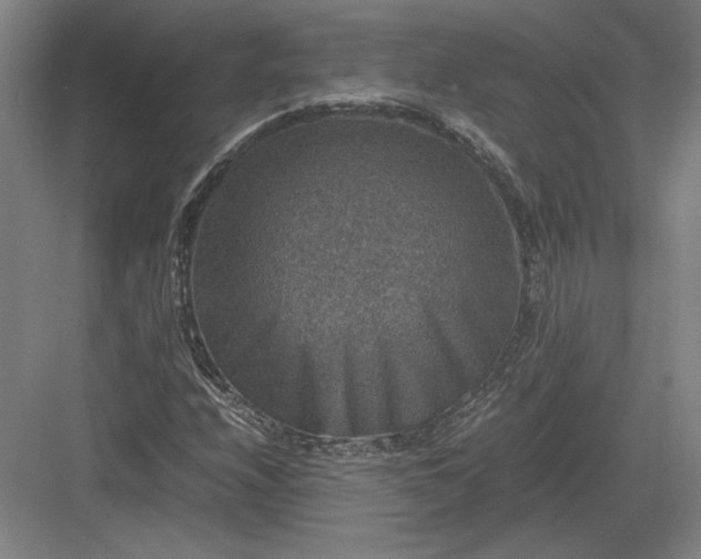 X0000082991208200702160015