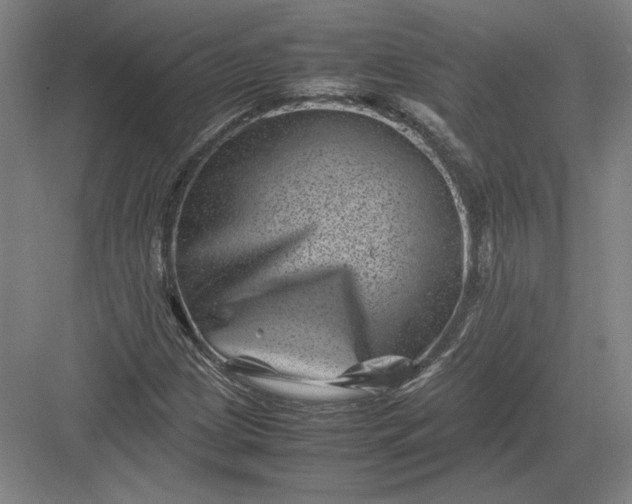 X0000082991209200702160015