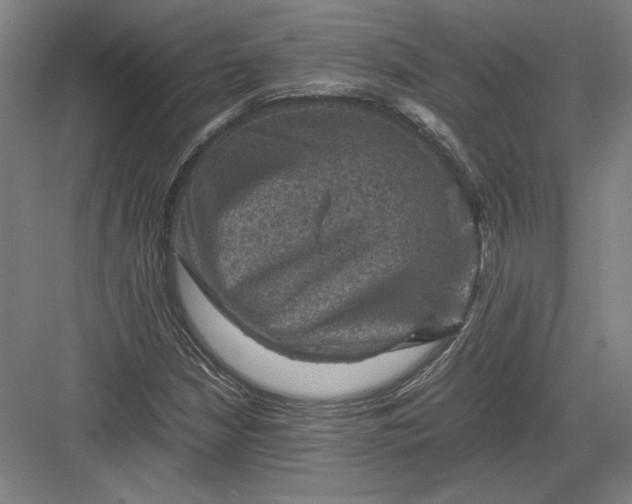 X0000082991210200702160015