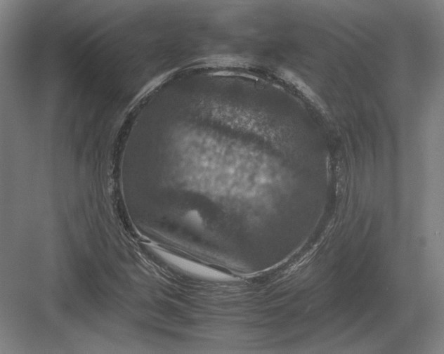 X0000082991213200702160015