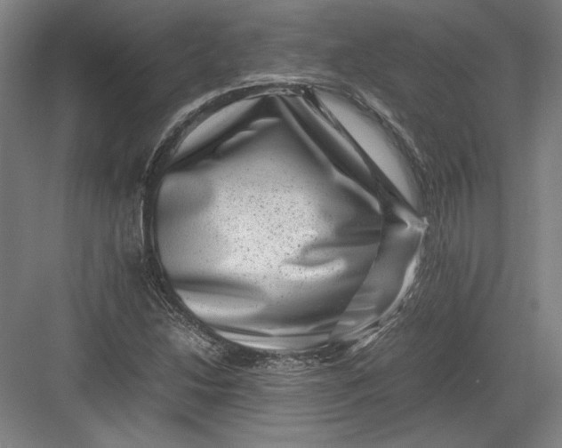 X0000082991214200702160015