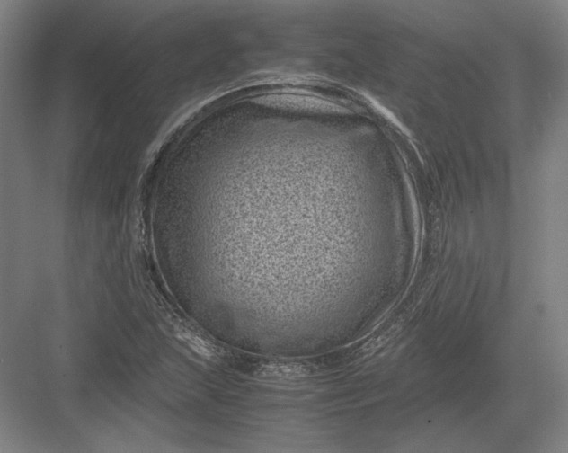 X0000082991215200702160015