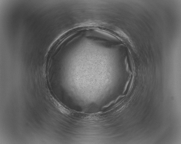 X0000082991216200702160015