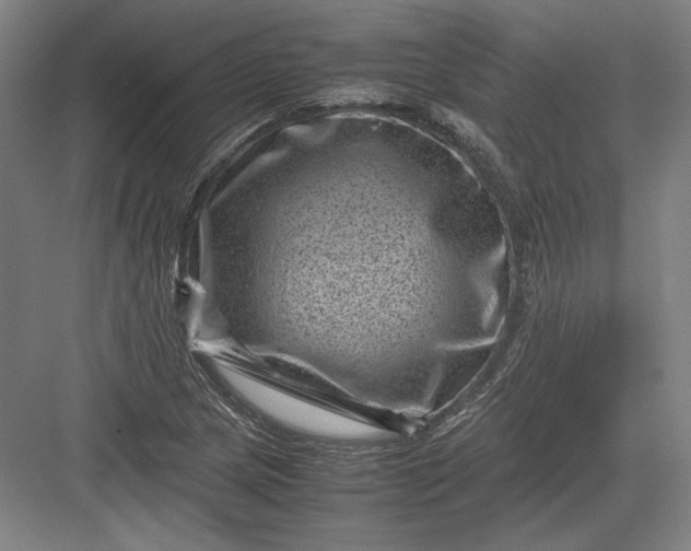 X0000082991217200702160015