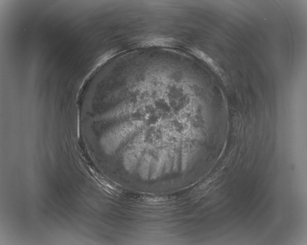 X0000082991219200702160015