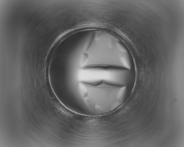 X0000082991222200702160015