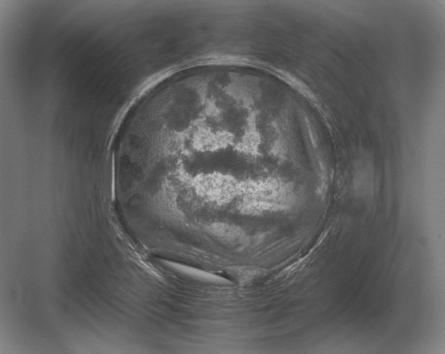 X0000082991223200702160015